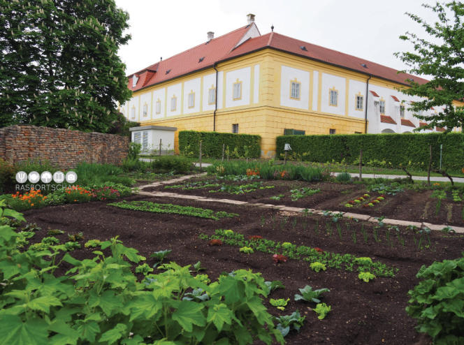 KäseStraße Bregenzerwald © Foto: Rasbortschan - So schmeckt Österreich