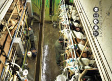 KäseStraße Bregenzerwald © Foto: Rasbortschan - So schmeckt Österreich