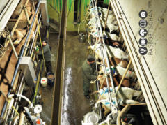 KäseStraße Bregenzerwald © Foto: Rasbortschan - So schmeckt Österreich