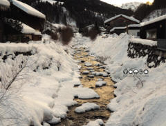 KäseStraße Bregenzerwald © Foto: Rasbortschan - So schmeckt Österreich