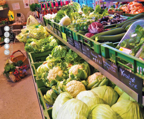 KäseStraße Bregenzerwald © Foto: Rasbortschan - So schmeckt Österreich