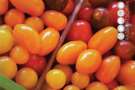 KäseStraße Bregenzerwald © Foto: Rasbortschan - So schmeckt Österreich