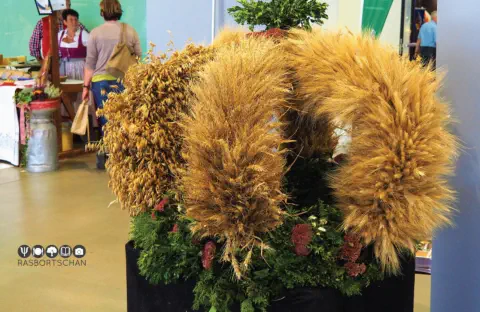 Erntekrone - Kulinarikmesse Salzburg 2018 © Foto: Rasbortschan - So schmeckt Österreich